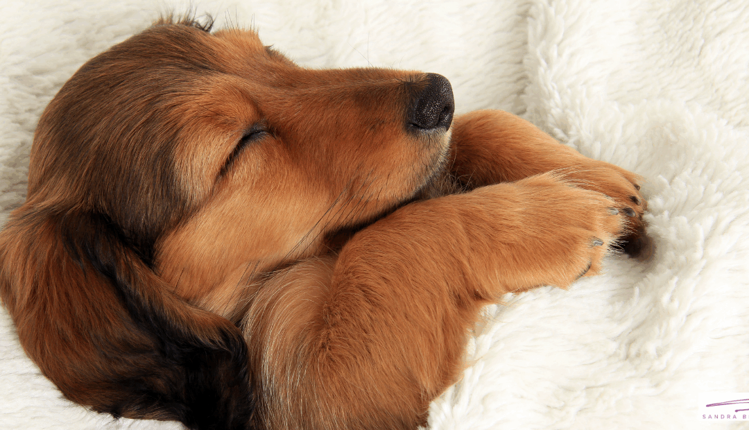 How to Improve Sleep Quality and Wake Up Refreshed