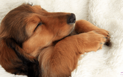 How to Improve Sleep Quality and Wake Up Refreshed